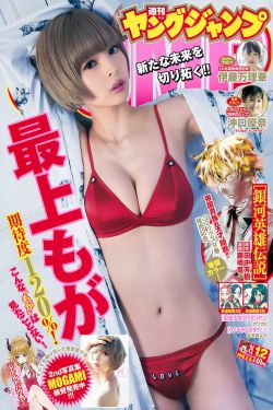 黑鹰坠落